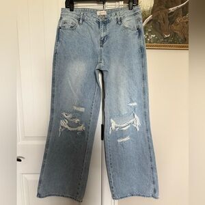 Pacsun Pacific Sunwear Light Blue Denim Jeans Low Rise Casey Baggy